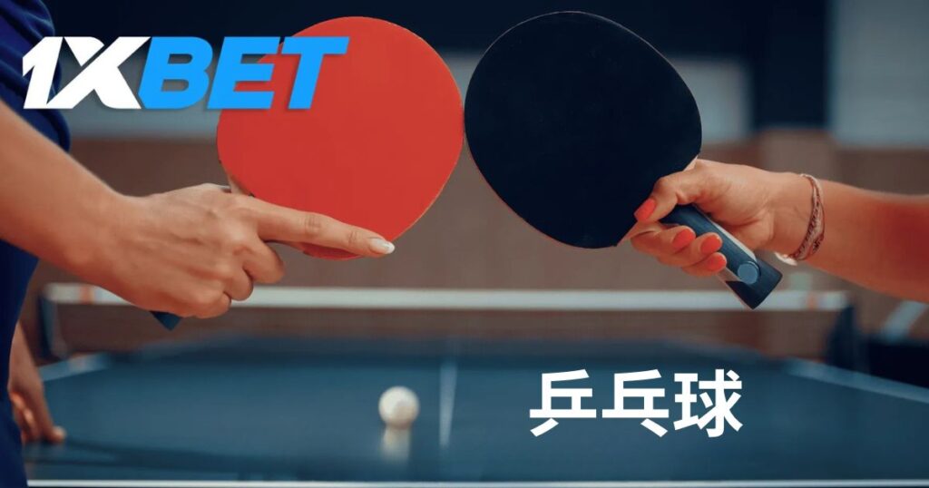 乒乓球投注专家提示